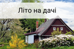 Літо на дачі: приємні клопоти на городі та відпочинок з комфортом