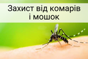 Літо без комарів та мошок: відпочиваємо із задоволенням!